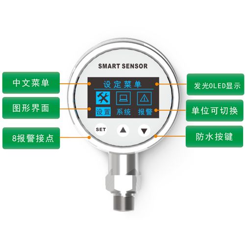 PTW 智能型壓力變送控制器