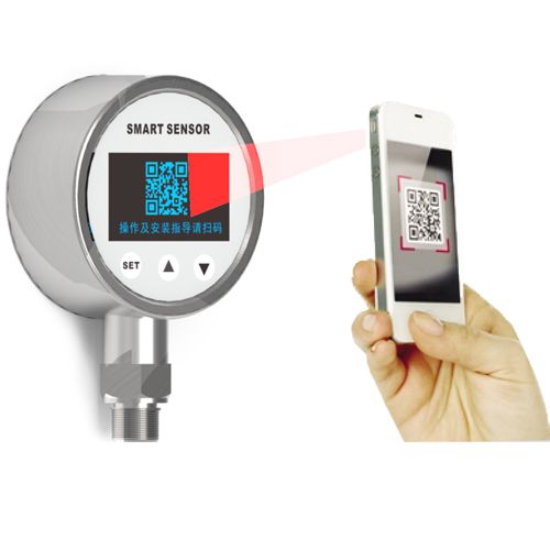 PTW 智能型壓力變送控制器