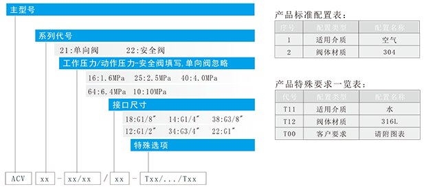 ACV系列精巧型單向閥安全閥-1.png